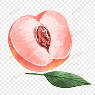 极品直播APP应用